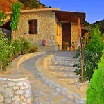 Georgia * Drymon