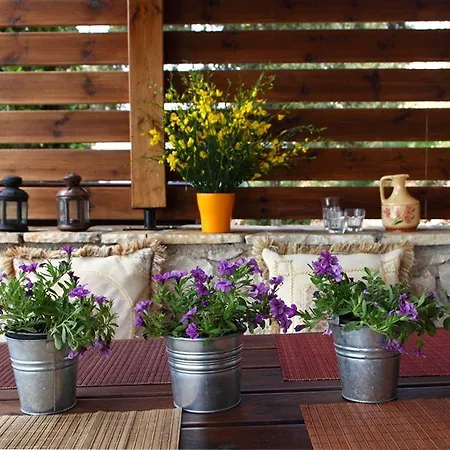 Dom wakacyjny Georgia *