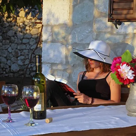 Σπίτι διακοπών Georgia