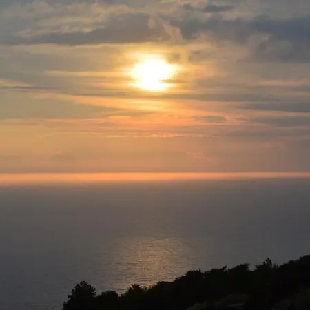 Georgia Δρυμώνας
